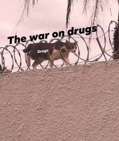 1731393078646.png
