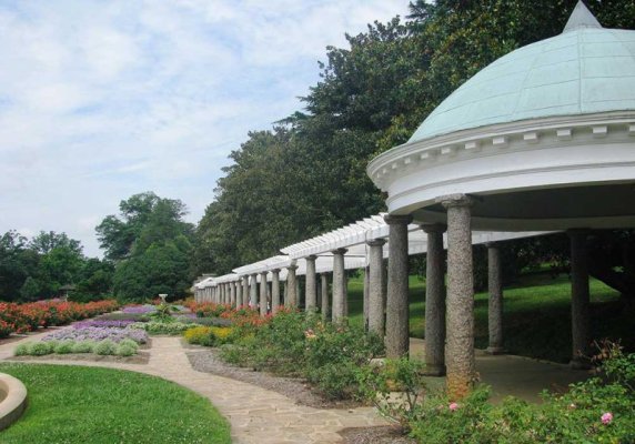 button-IG-Pergola.jpg