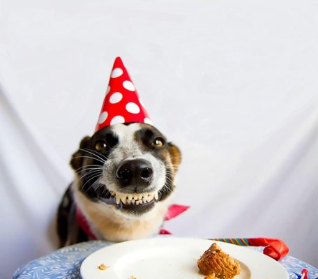 Happy Birthday 001.jpg