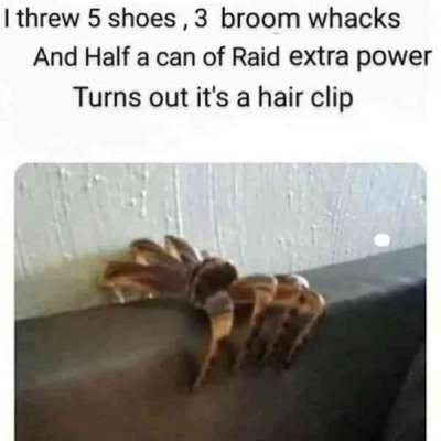 IMG_0575.jpeg