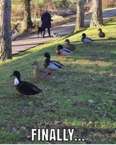 IMG_0565.jpeg