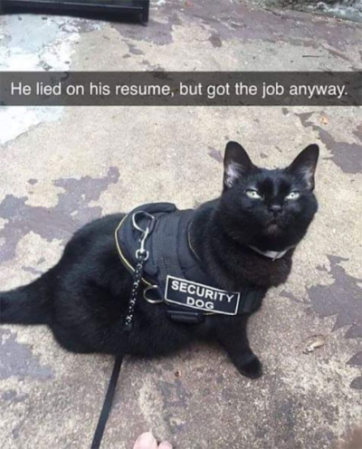 1732034666149.png
