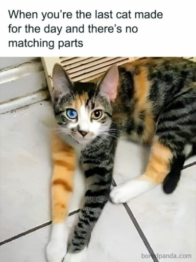 1732034827060.png