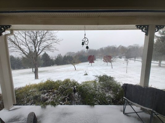 IMG_20241122_104905296_HDR.jpg