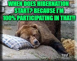 1732309270554.png 1732309270554.png