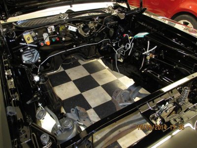 IMG_0454 (Large).jpg IMG_0454 (Large).jpg