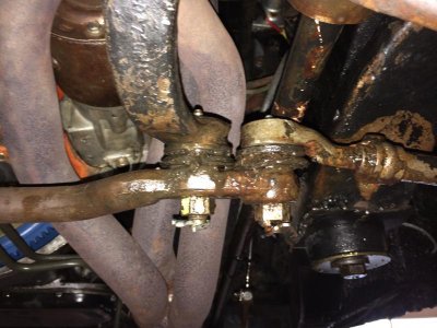 IMG_1884.jpg IMG_1884.jpg