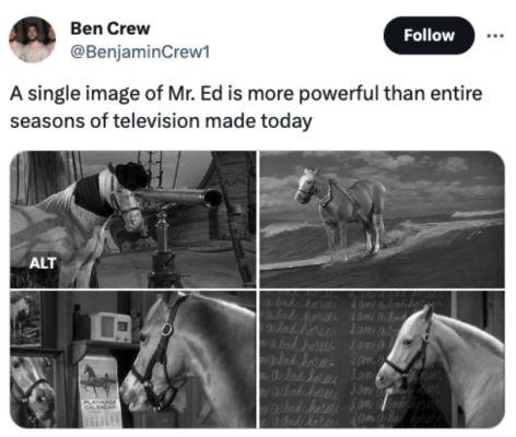 mr ed.png