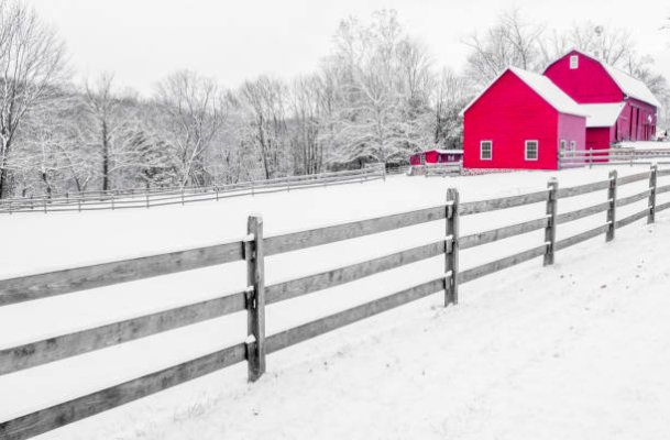 istockphoto-896291636-612x612.jpg