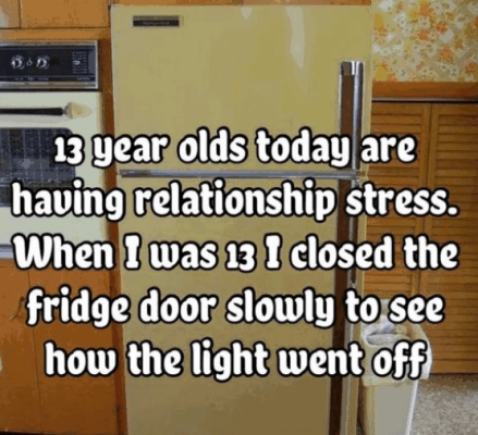 13-year-olds-today-are-having-relationship-stress-13-closed-fridge-door-slowly-see-light-went-...png