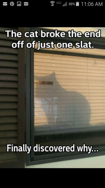 1732641132062.png