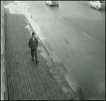 BxVy1.gif