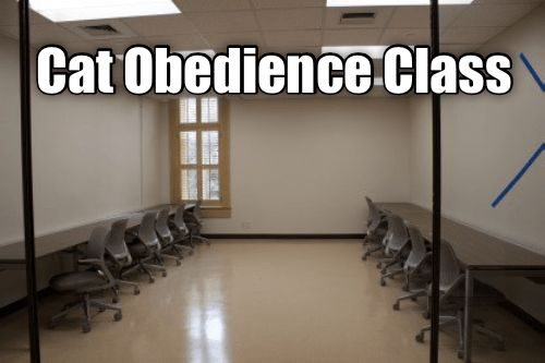 1732725721211.png