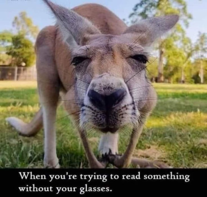 1732784357375.png