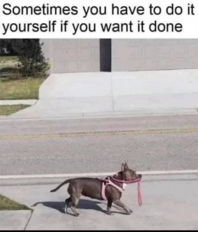 1732784438748.png