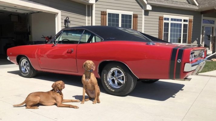 '68 Dodge Charger (57).jpg
