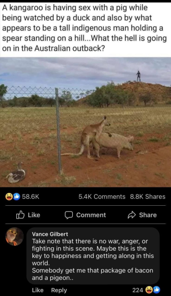 1733244859498.png