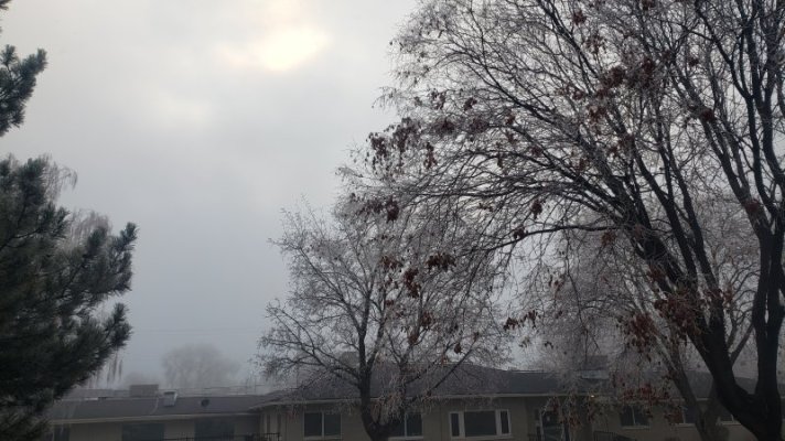 20241203_160125.jpg