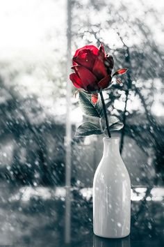 be7386e2d01761e48a7adc10ab7e6e7b.jpg