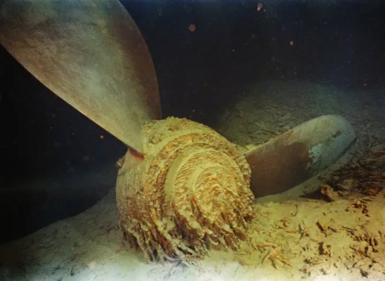 sub-buzz-1790-1687468345-2.jpg
