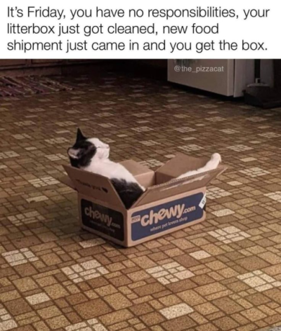 1733935894169.png