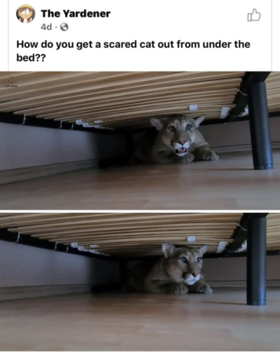 1733935950379.png