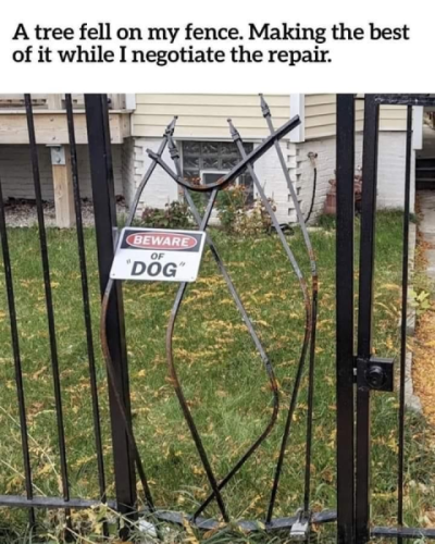 1733936109674.png