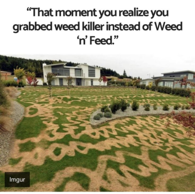 1733936145692.png