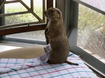 P3273625.jpg P3273625.jpg