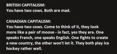 This-Guy-Just-Explained-Capitalism-Absolutely-Perfectly.-4.jpg