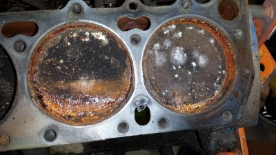 2014-11-08 20.13.02.jpg