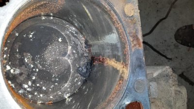 2014-11-08 20.14.07.jpg