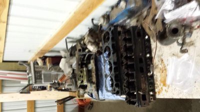 2014-11-08 20.18.39.jpg