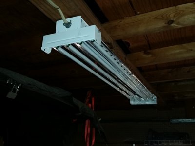 sm_lightafter.jpg sm_lightafter.jpg