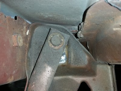 sm_trunktorsion08.jpg sm_trunktorsion08.jpg