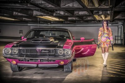 Robin exit No HL WM.jpg