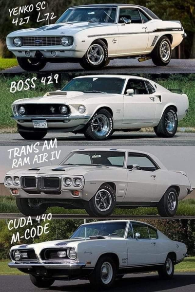 1734023709883.png