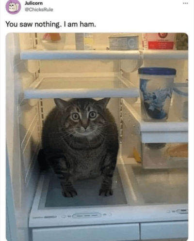 1734024058542.png