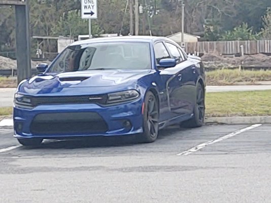 IMG_20241128_114243688.jpg