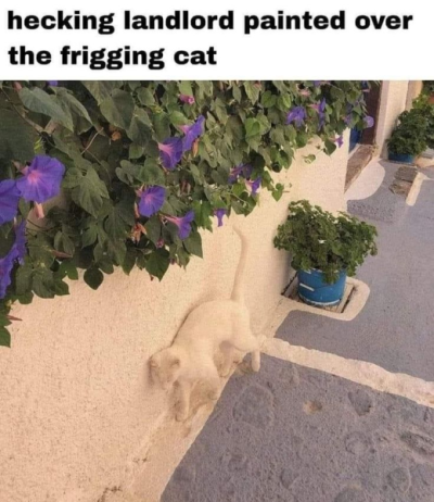 1734082491067.png