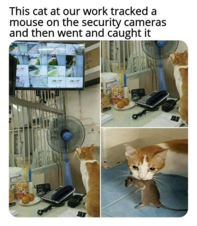1734082519362.png