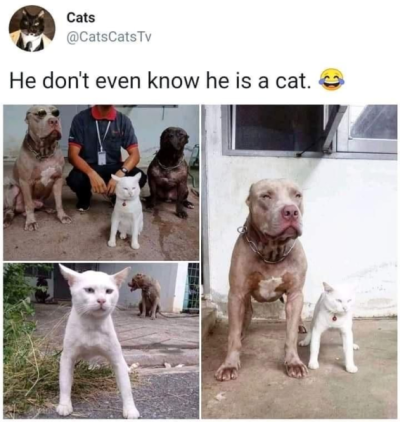1734083151215.png