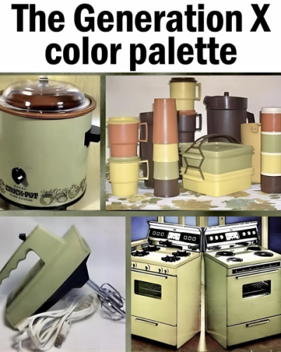 IMG_0868.png