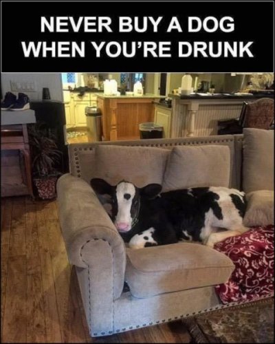 IMG_0849.jpeg