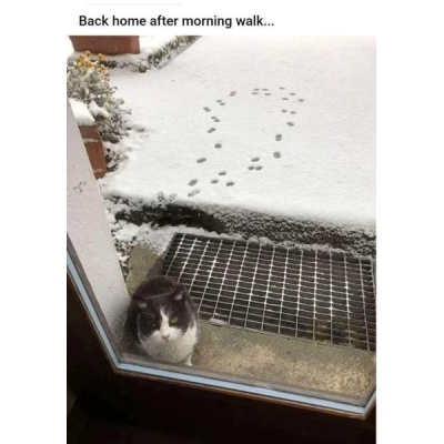 1734808773263.png