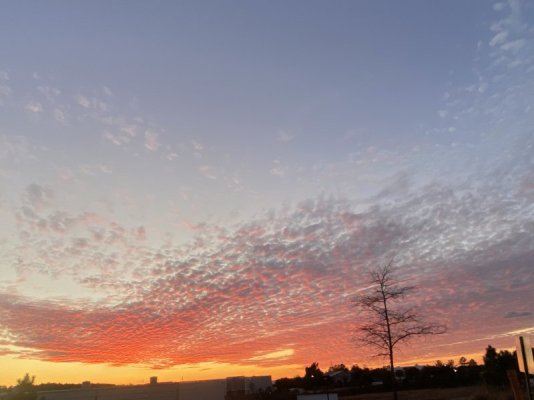 998EF884-63F3-43AA-A301-198F6E166F47.jpeg