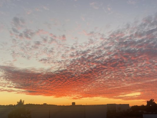 31A908CB-3140-4D0C-95ED-C6E92FBEFEF0.jpeg