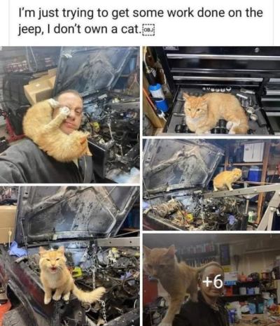 1734926668749.png