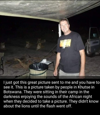 1734978866032.png