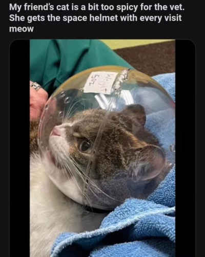1734978917355.png